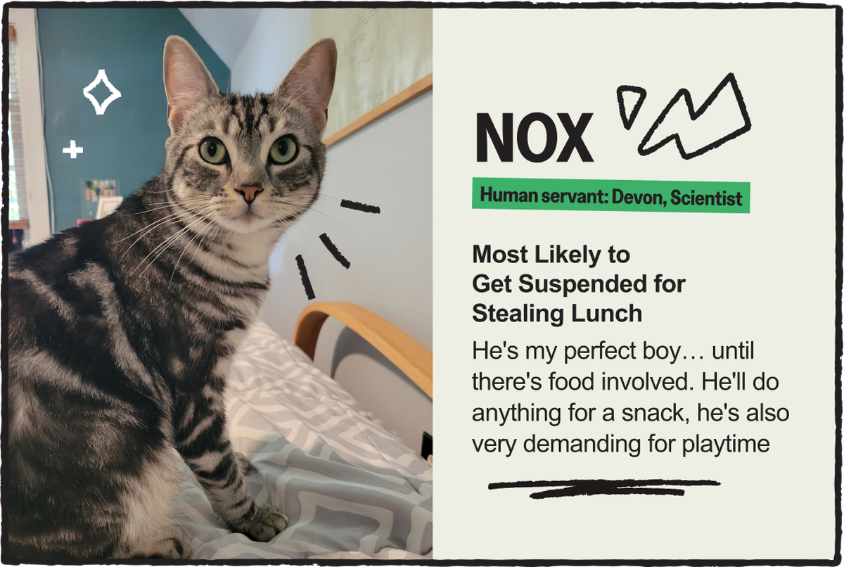 nox