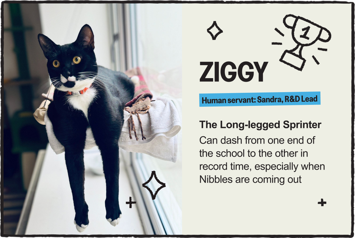 ziggy