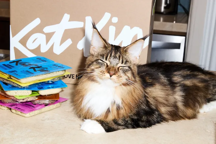 Why does my cat slow blink?