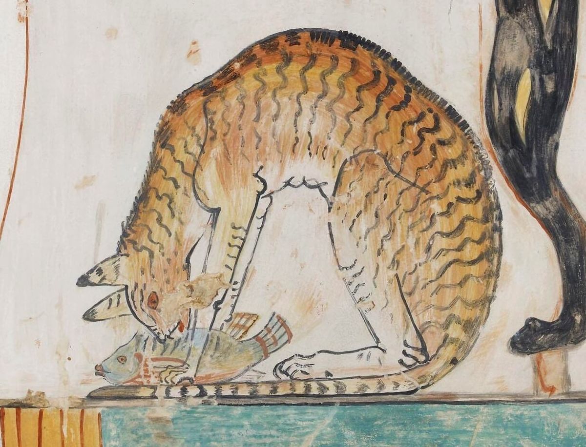 egyptian-cat