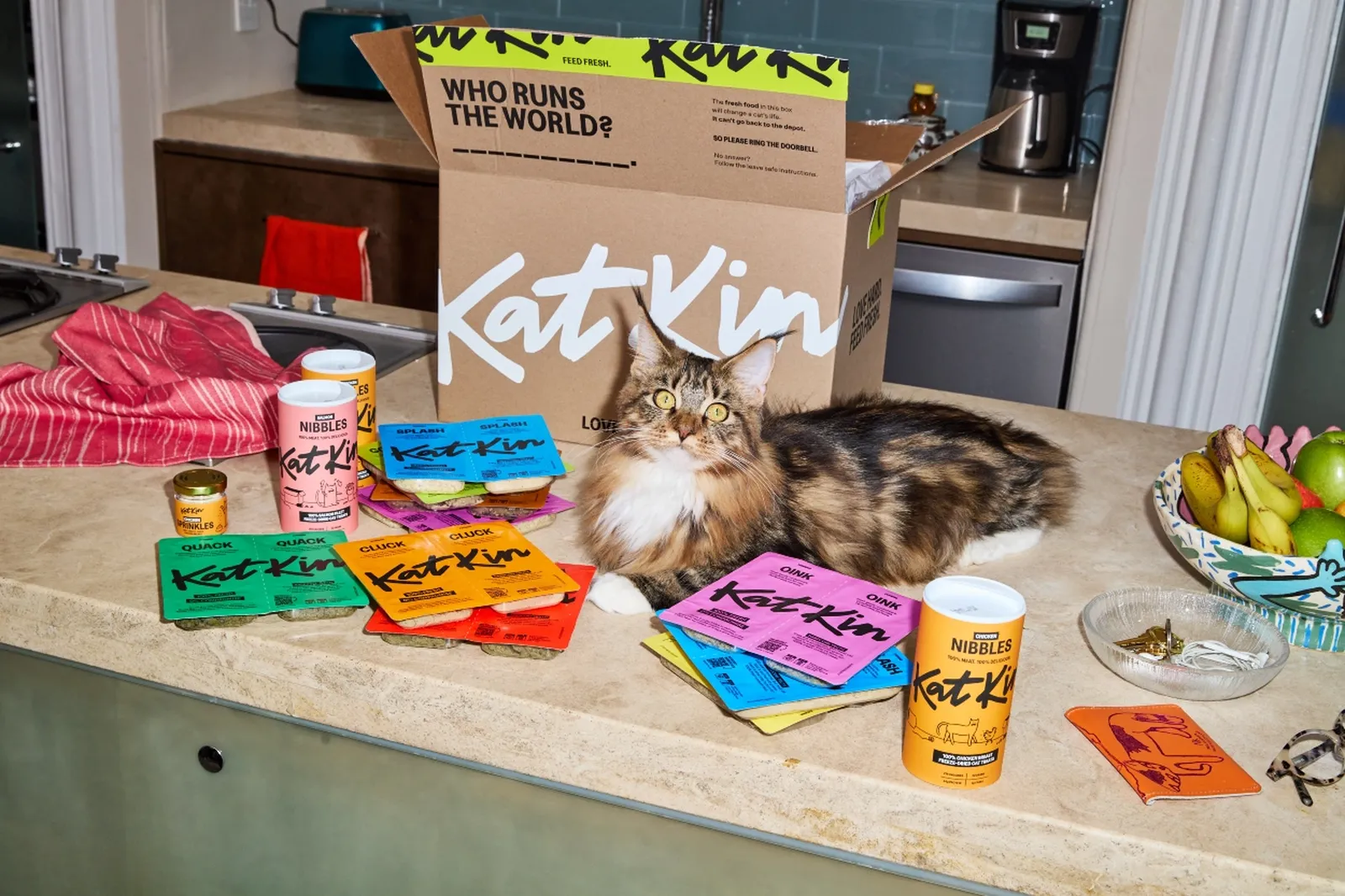 Cat food subscription - delivery