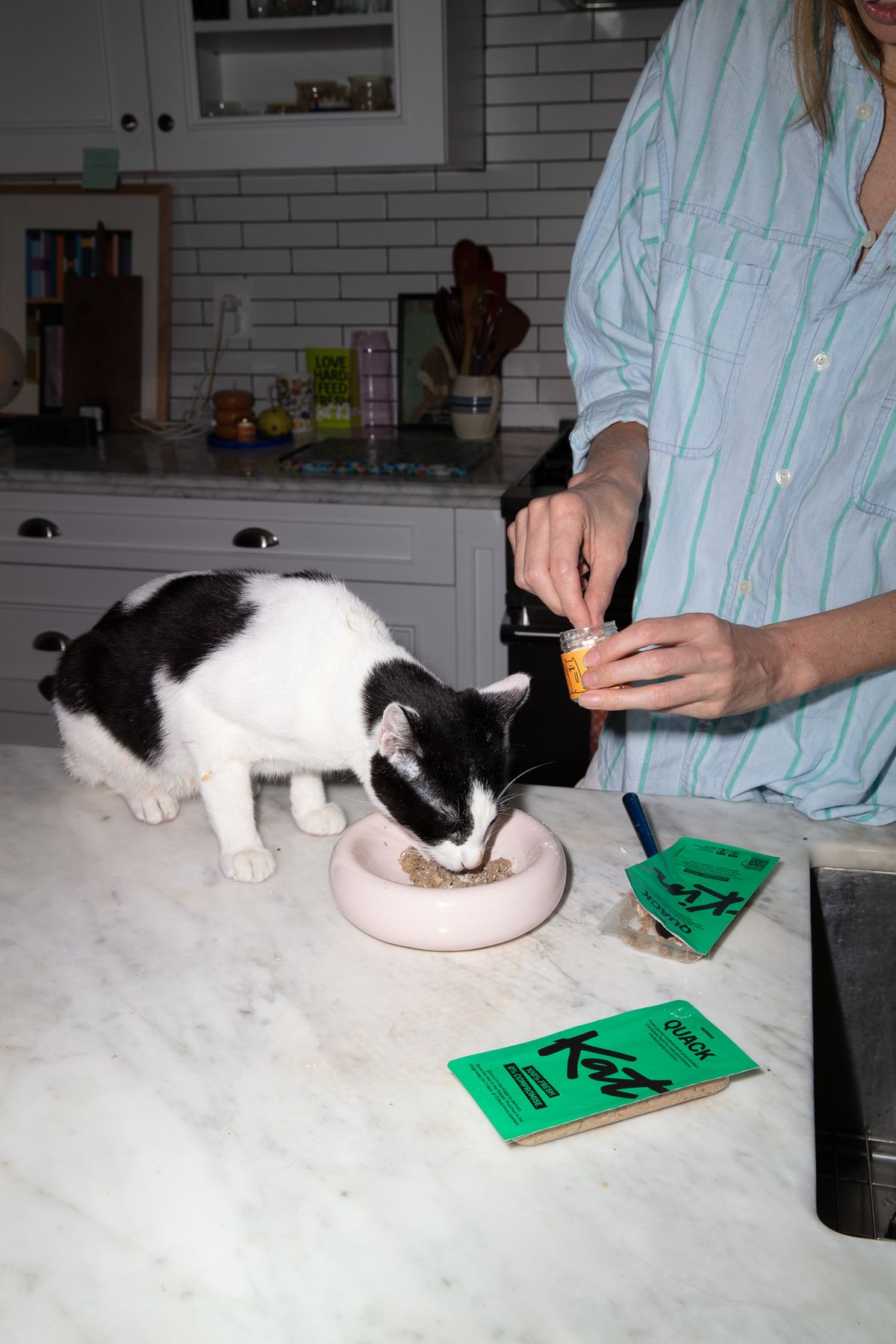 Cat being fussy with food best sale