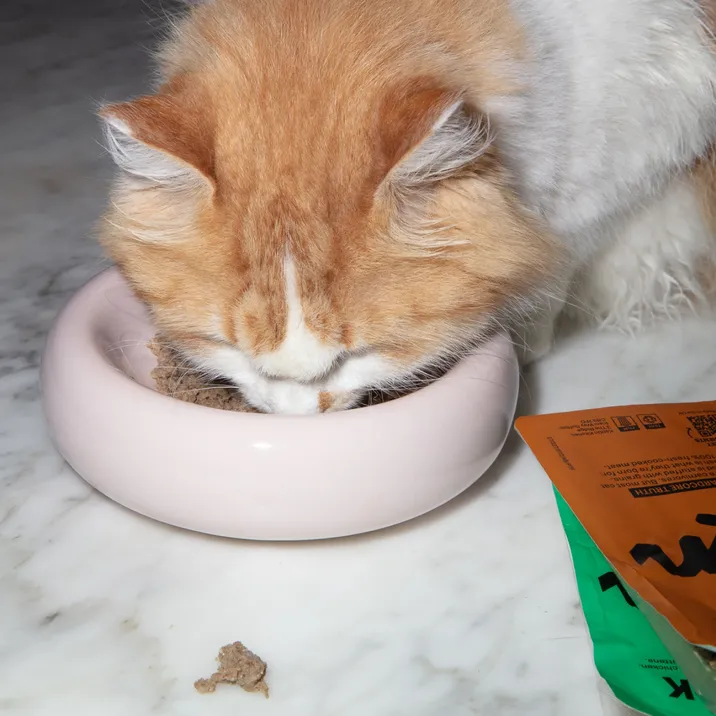 Fresh beef cat food