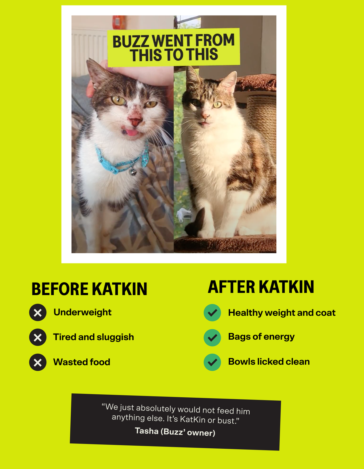 A before and after eating KatKin featuring Buzz - looking much healthier after making the switch to KatKin.