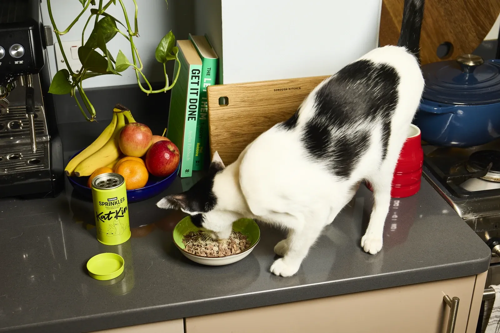 Cat enjoying KatKin with chicken sprinkles next to an open tube of sprinkles