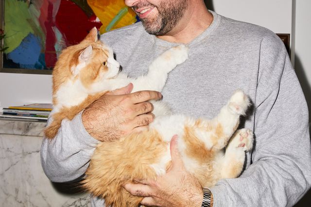What cat parents have to say