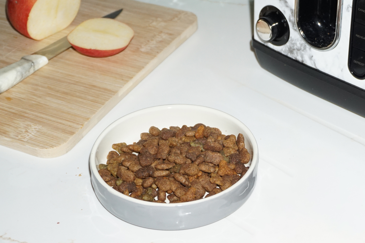 Cat food with large kibble hotsell