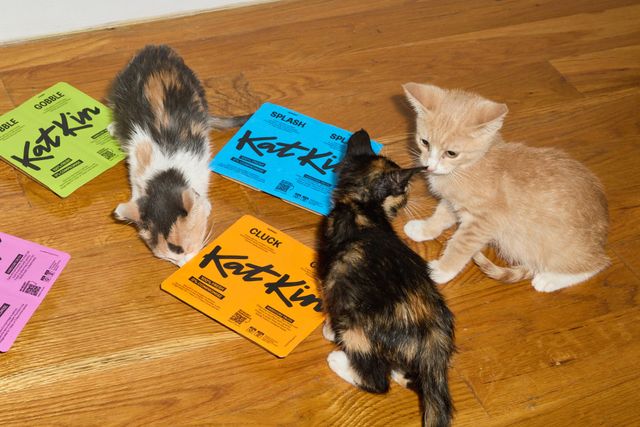Do cats meow at each other? 