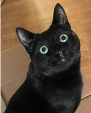 Molly