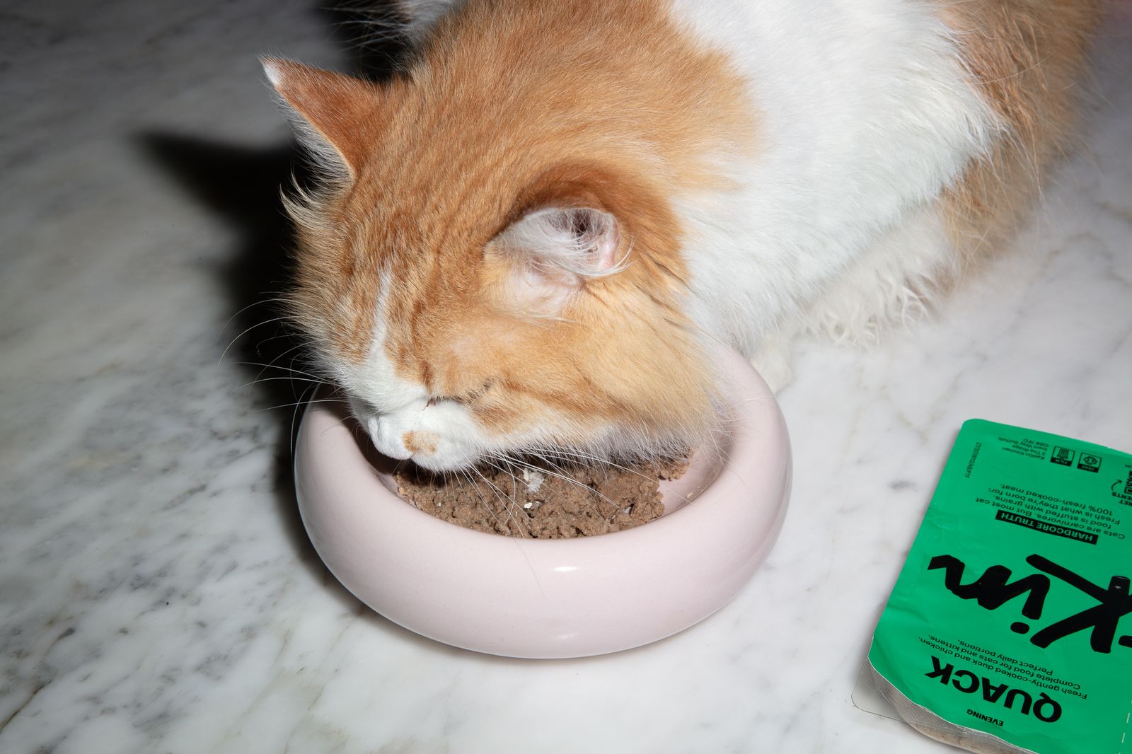 Ginger and white cat eating a bowl of KatKin.