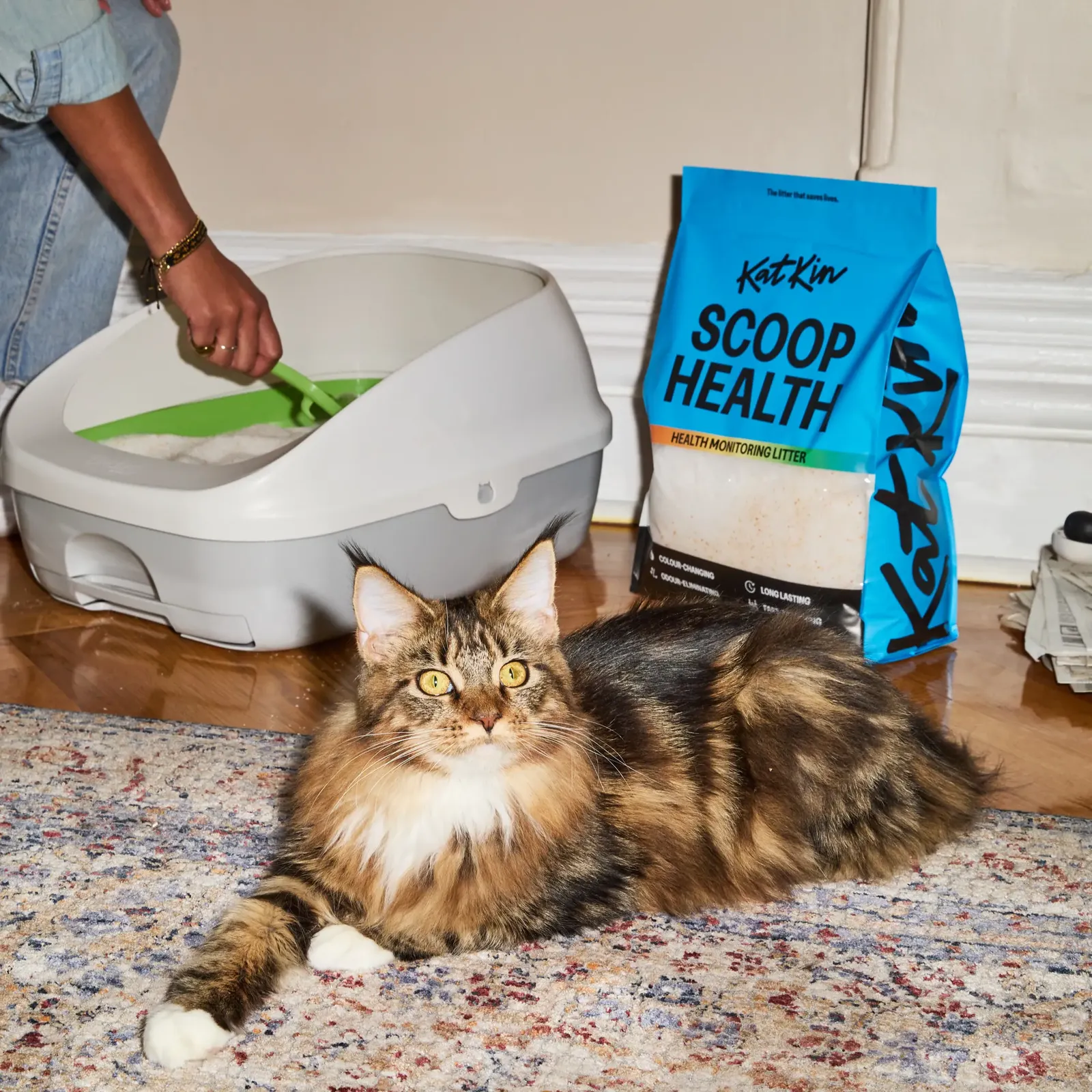 Main Coon lying on a rug in front of a bag of KatKin's Scoop Health litter and a litter tray in the background