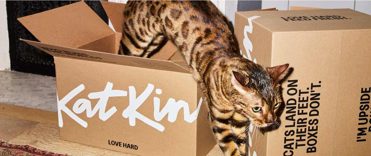 What's in your first box?
