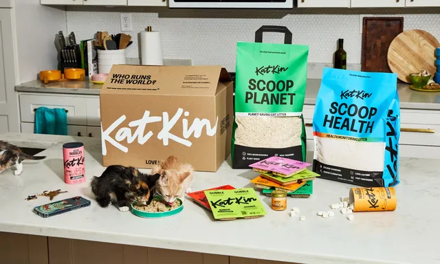 How to Help Kittens in Shelters – Even If You Can't Adopt or Foster