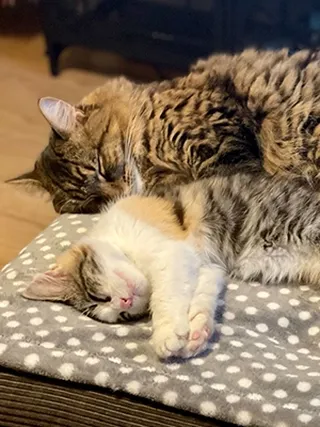 Cali and Leo