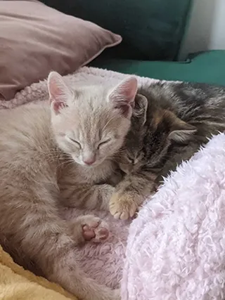 Ernie and Olive