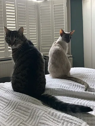Kiki and Columbus