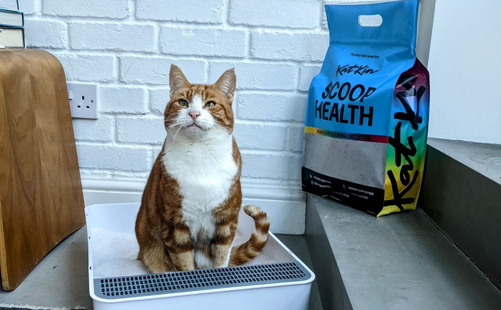 White and ginger cat sat in the litter box next to a bag of KatKin Scoop Health litter