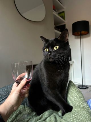 Pepper