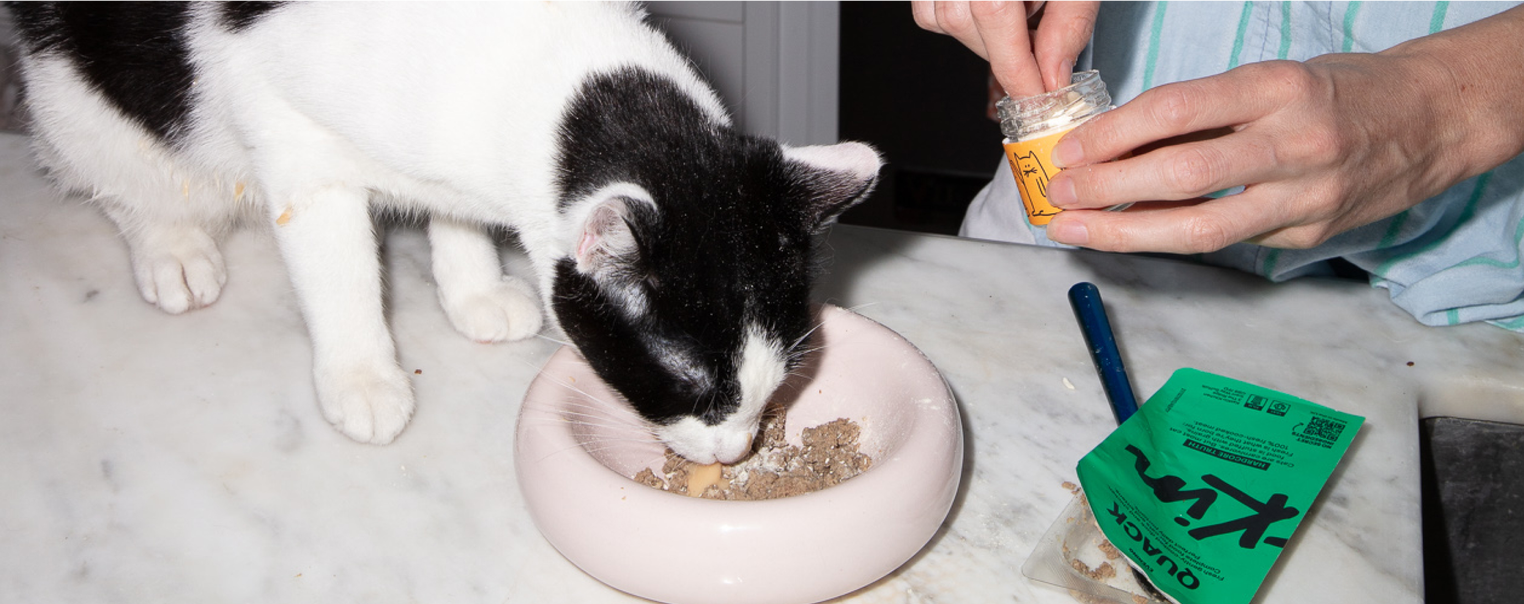 Cat eating KatKin fresh meat (duck)