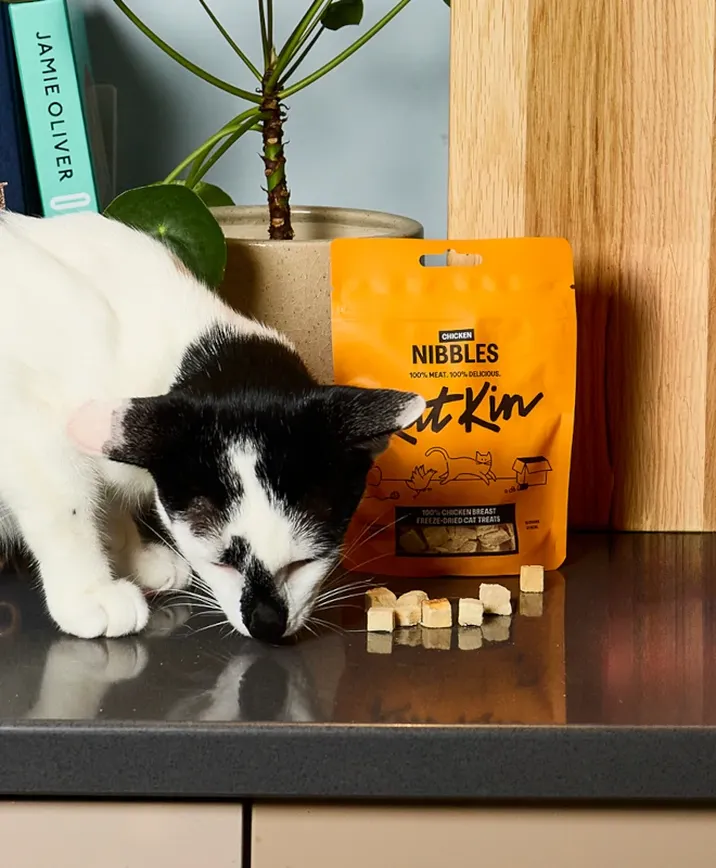Chicken nibbles 15g