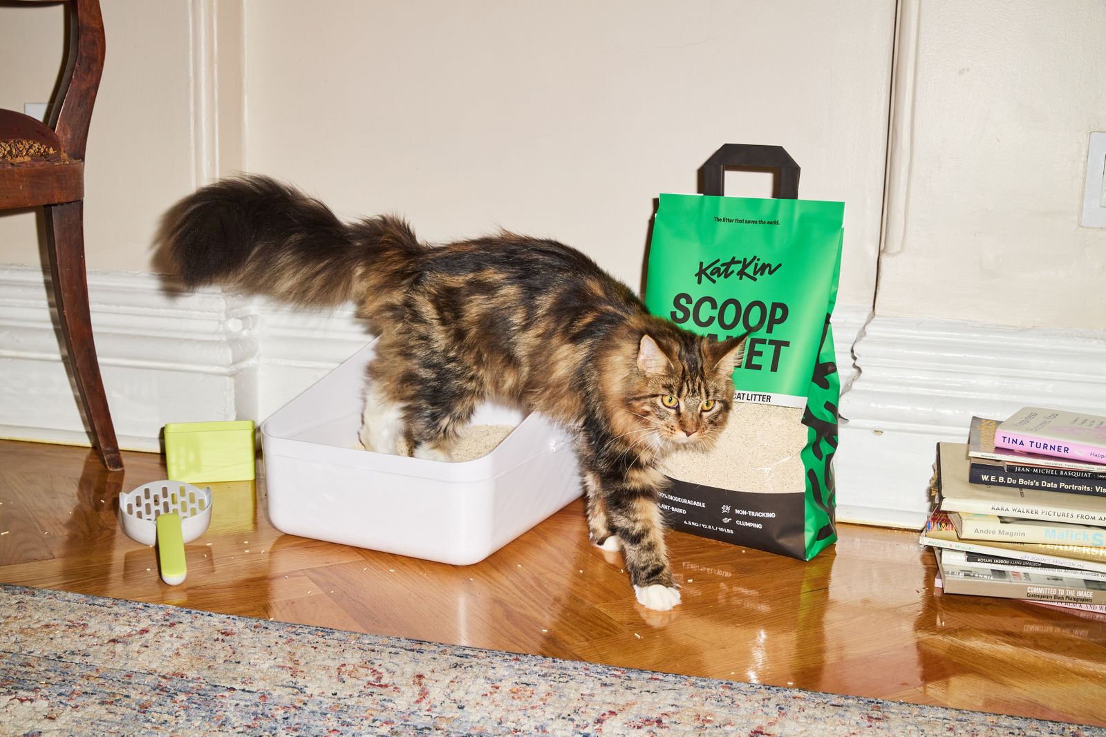 Scoop Natural, Biodegradable Cat Litter KatKin