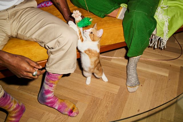How do I cut my cat's claws?