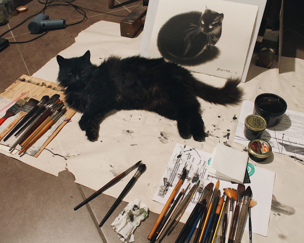 Cats in Contemporary Art – A Chat with Artist Endre Penovác