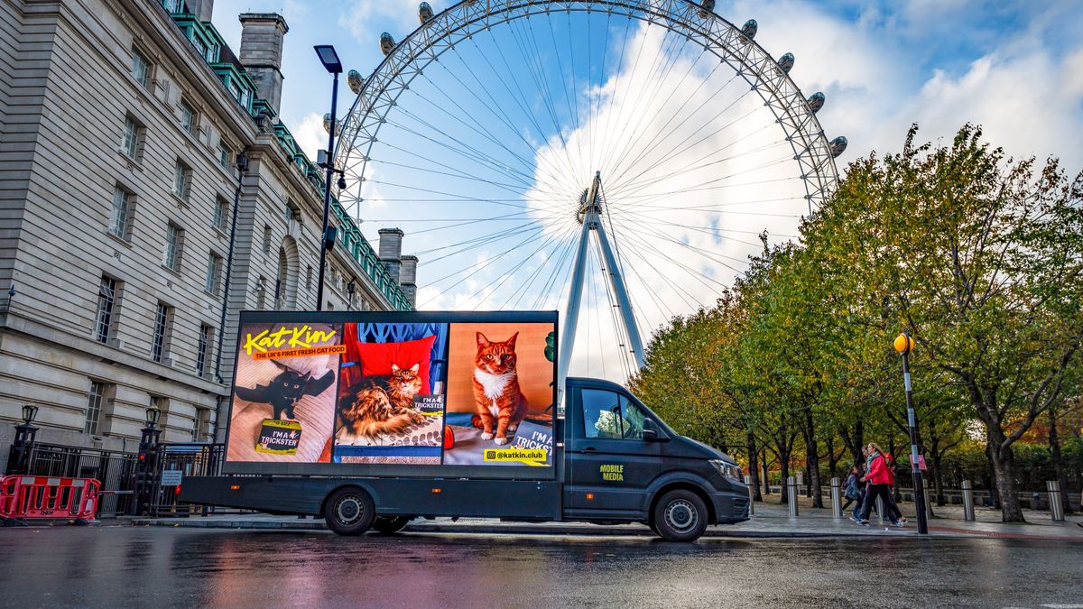 Your cats... on a billboard!