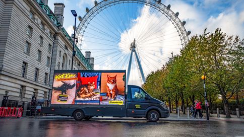 Your cats... on a billboard!