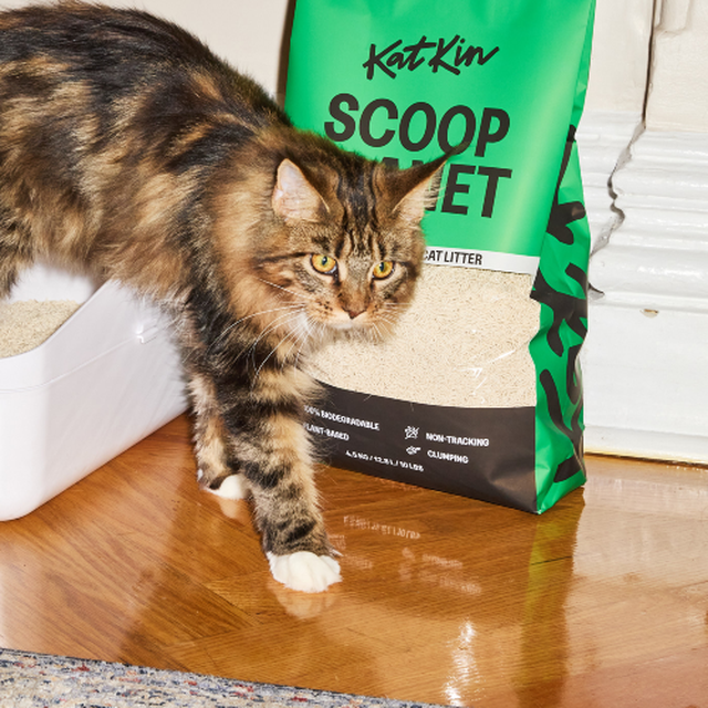 Cat condensed carousel 2