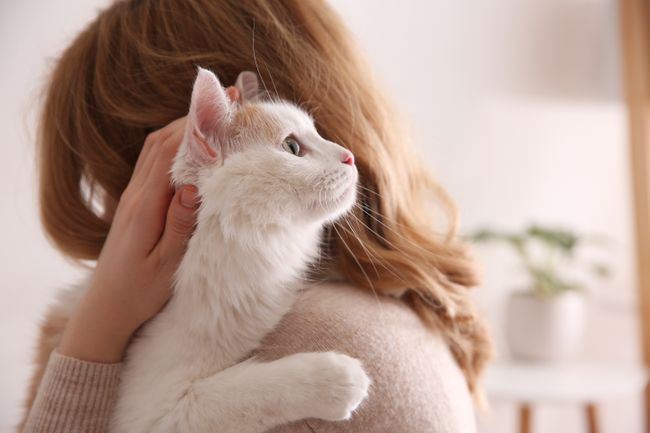 How Pets Help Mental Health