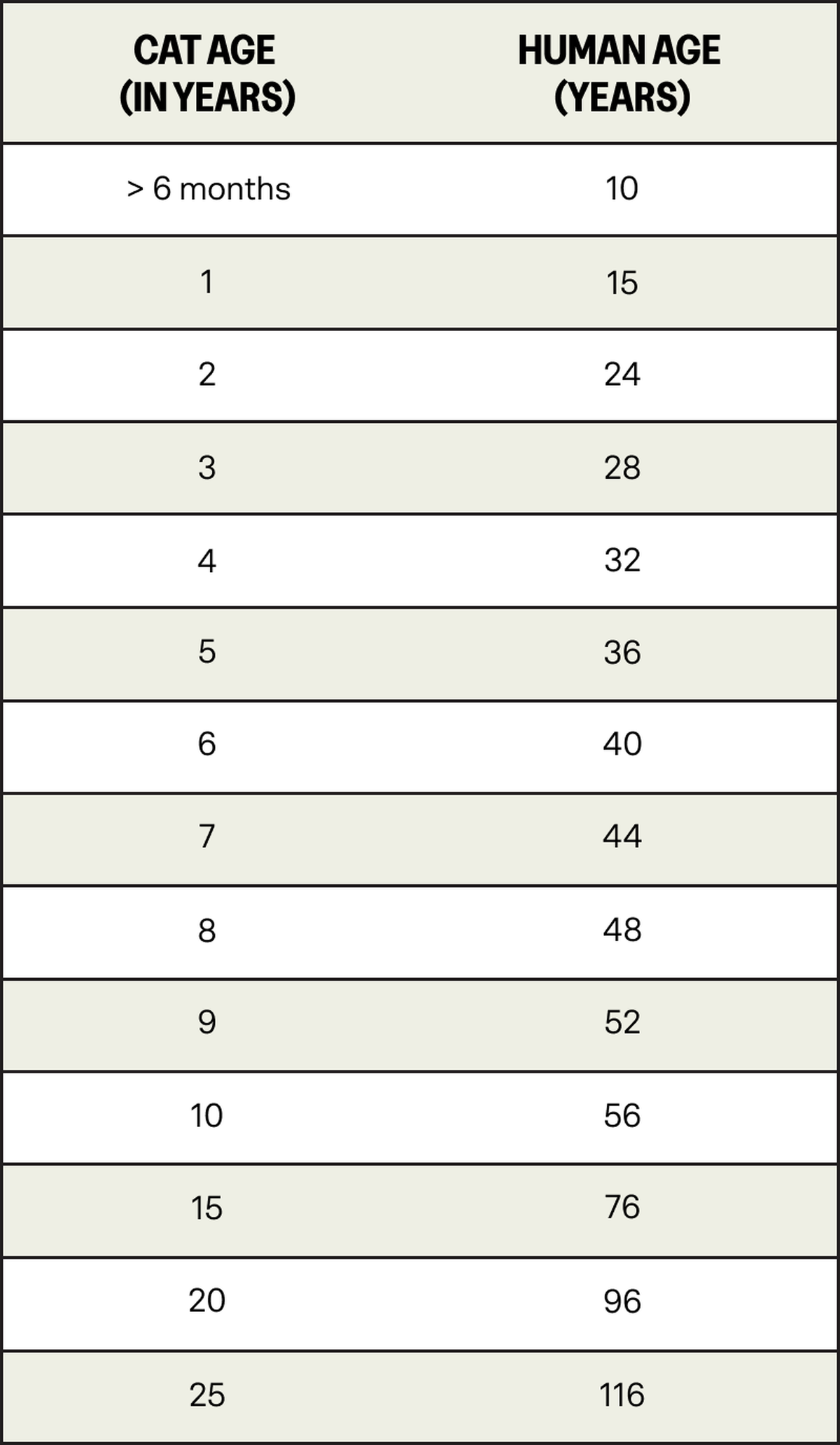 A table showing cat age vs human age - 6 months in cat age is 10 human years, 5 years is 36 human years, and 10 years is 56 human years.