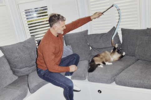 How to make your cat happier