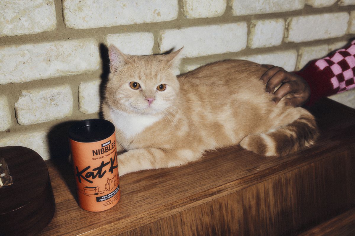 What makes cats happy?