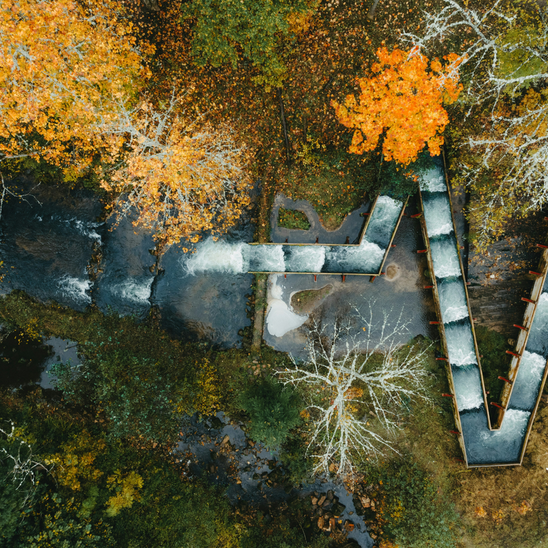 Thumbnail 30-01-2026