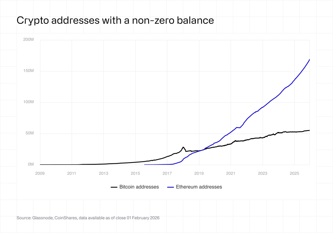 Crypto addresses with a non-zero balance