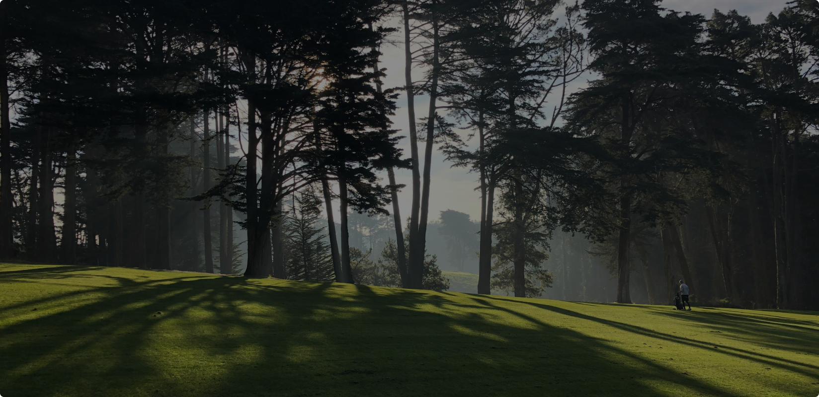 Image The bear market that wasn't