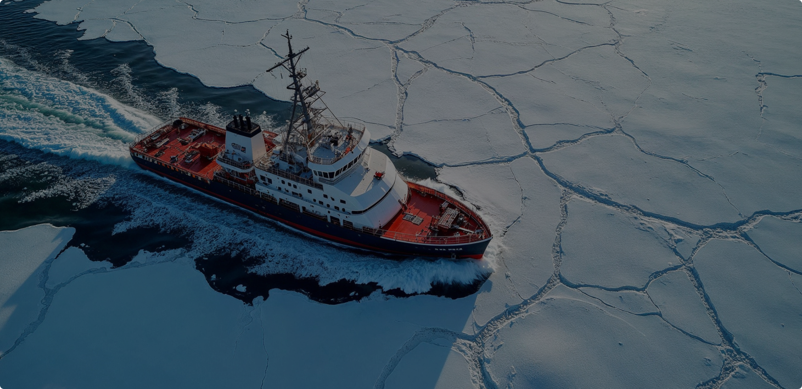 Image Crypto adoption is coming, regardless of what your favorite economist says