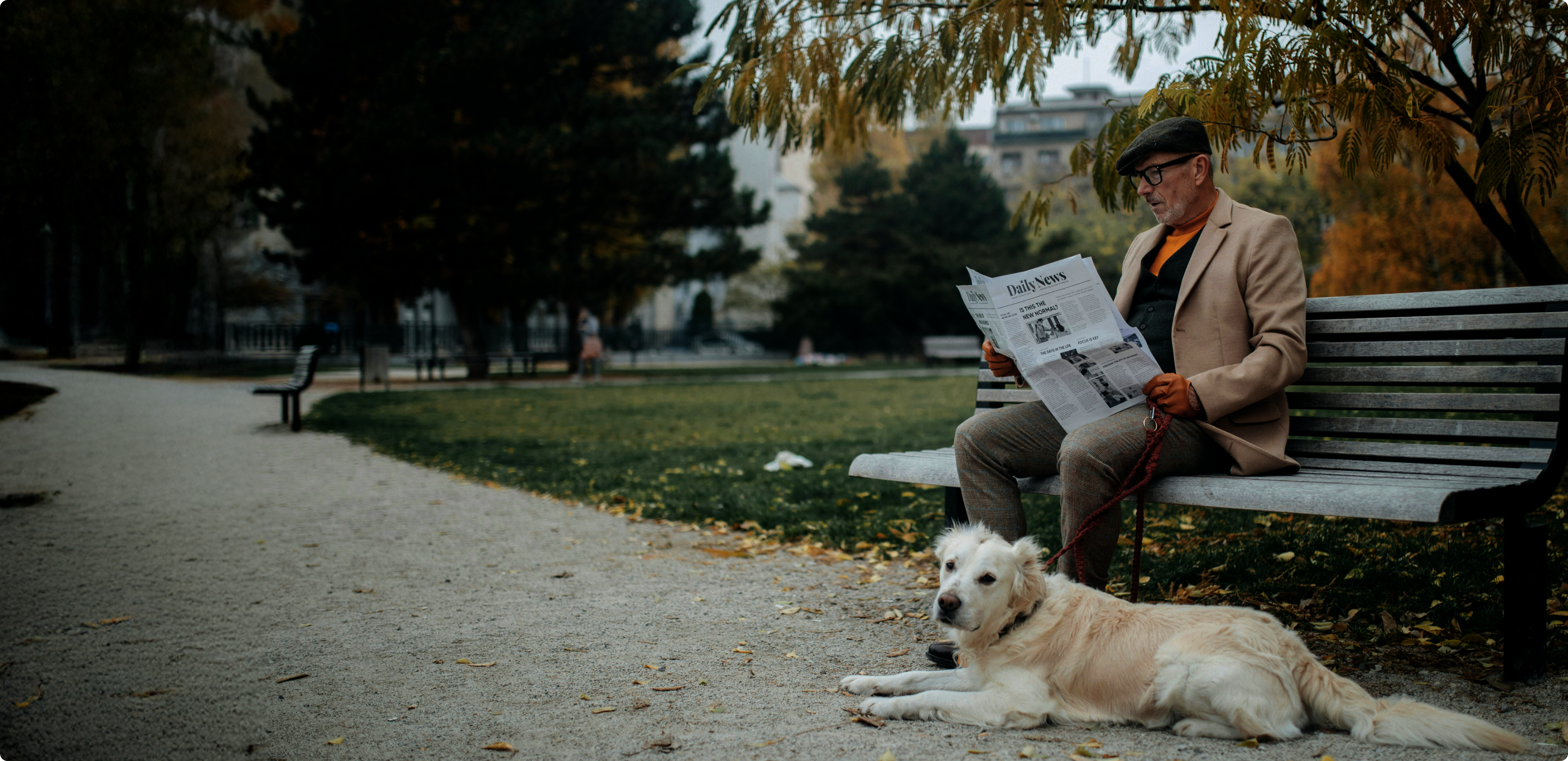 Image Look at the big picture