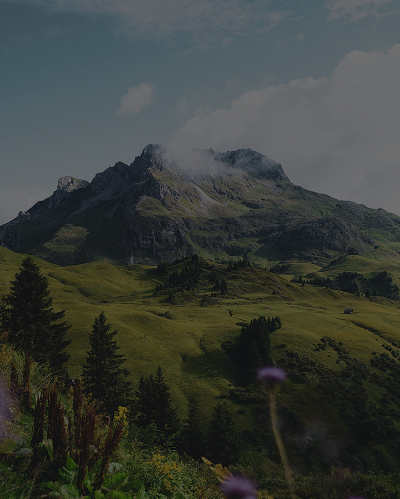 mountains