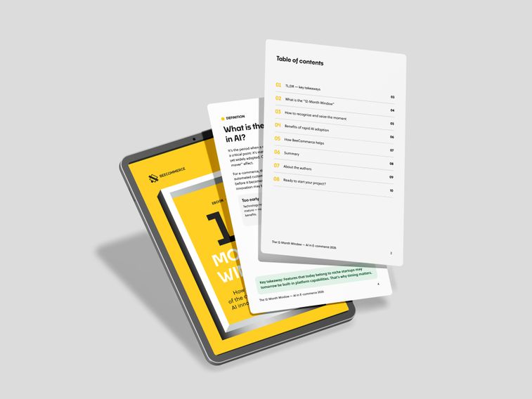 Table-of-contents-e-book-12 Months Window: How to take advantage of the current momentum for AI innovation in e-commerce