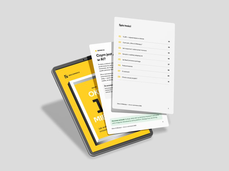 spis-tresci-Okno 12 miesięcy: jak wykorzystać moment na innowacje AI w e-commerce?