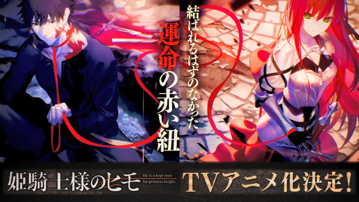 The Kept Man of the Princess Knight TV Anime Announced 