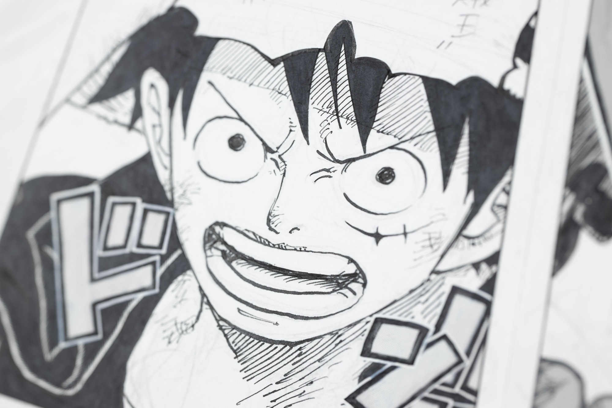One Piece ニッポン 縦断 47 クルーズ 展覧会公式図録『ONE