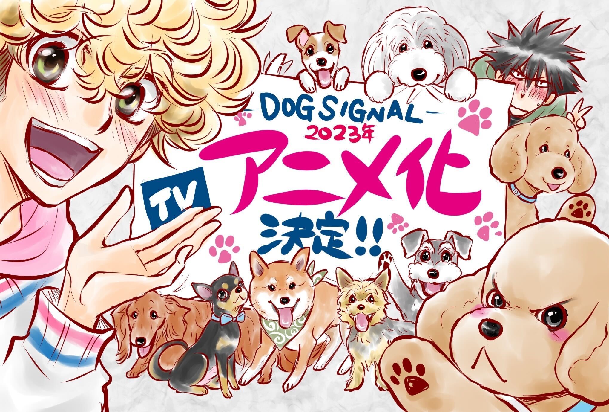 ＤＯＧ　ＳＩＧＮＡＬ11特装版 Educational Anime Dog Signal Adopts Cast and Staff for
