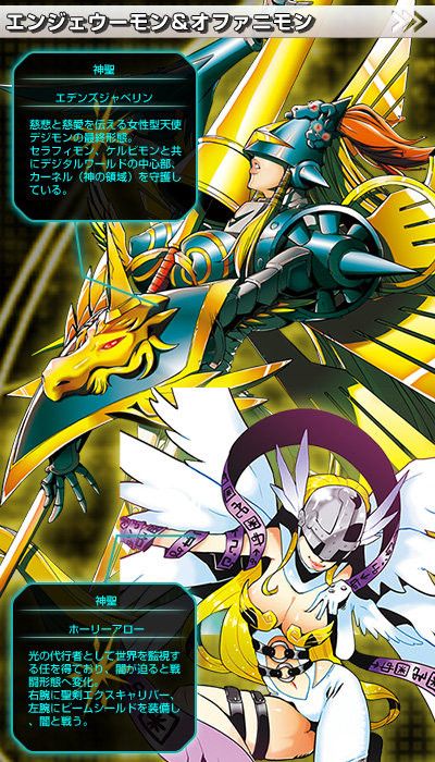 skyridge booster box Pokemon EX Skyridge Booster Box