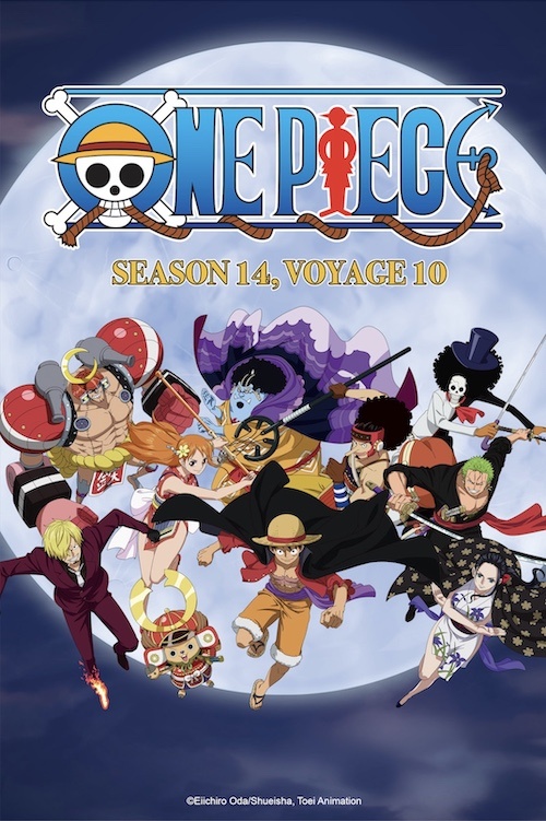 One Piece em português brasileiro - Crunchyroll