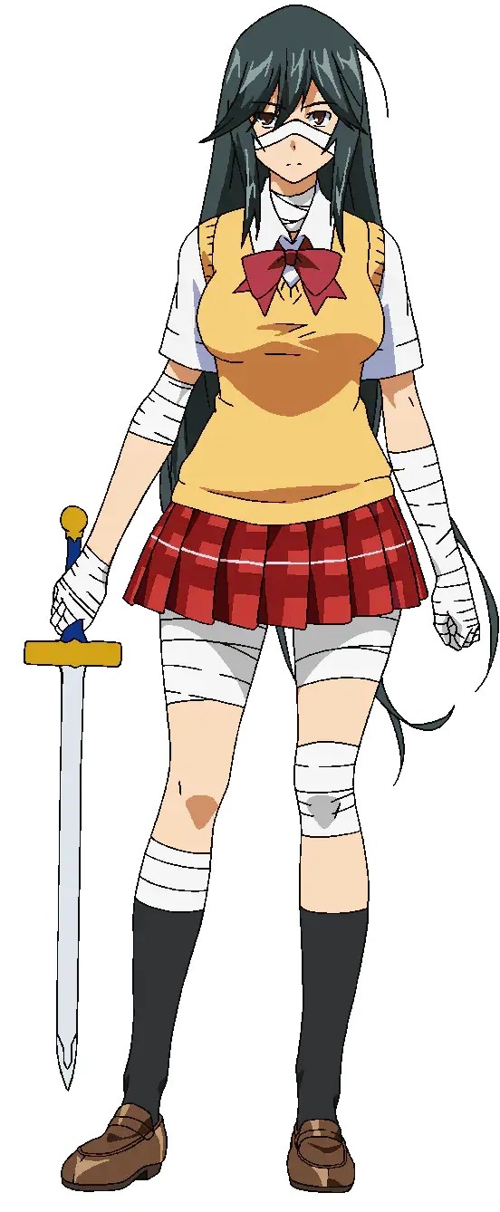 Primeiro Episódio do Anime Shin Ikkitousen Terá uma Transmissão