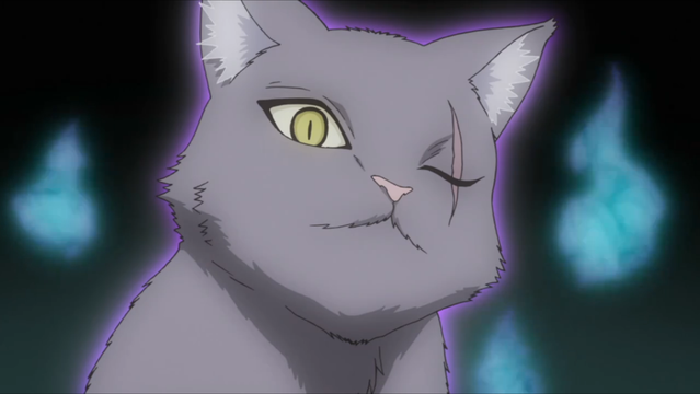 Shinto Deities Live Purr-fect Lives in 