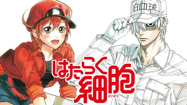 Células em seu último ciclo de trabalho! Mangá de Cells at Work